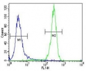 LKB1 antibody flow cytometric analysis of NCI-H460 cells (green) compared to a negative control (blue).