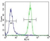 LKB1 antibody flow cytometric analysis of NCI-H460 cells (right histogram) compared to a negative control (left histogram). FITC-conjugated goat-anti-rabbit secondary Ab was used for the analysis.