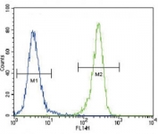 DDR1 antibody flow cytometric analysis of 293 cells (right histogram) compared to a negative control (left histogram). FITC-conjugated goat-anti-rabbit secondary Ab was used for the analysis.