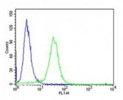 Flow cytometric analysis of HeLa cells using PCSK9 antibody (green) compared to an isotype control of rabbit IgG (blue); Ab was diluted at 1:25 dilution. An Alexa Fluor 488 goat anti-rabbit lgG was used as the secondary Ab.