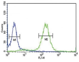 Anti-PCSK9 antibody flow cytometric analysis of HeLa cells (right histogram) compared to a negative control (left histogram). FITC-conjugated goat-anti-rabbit secondary Ab was used for the analysis.
