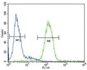 CP antibody flow cytometric analysis of HepG2 cells (green) compared to a <a href=../search_result.php?search_txt=n1001>negative control</a> (blue). FITC-conjugated goat-anti-rabbit secondary Ab was used for the analysis.