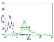 S100A6 antibody flow cytometric analysis of HeLa cells (right histogram) compared to a negative control (left histogram). FITC-conjugated goat-anti-rabbit secondary Ab was used for the analysis.