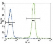 SMAD2 antibody flow cytometric analysis of HeLa cells (right histogram) compared to a negative control (left histogram). FITC-conjugated goat-anti-rabbit secondary Ab was used for the analysis.
