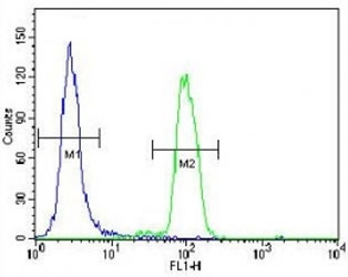 p38 antibody flow cytometric analysis of HeLa cells (right histogram) compared to a negative control (left histogram). FITC-conjugated goat-rabbit secondary Ab was used for the analysis.