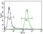 SOD2 antibody flow cytometric analysis of NCI-H460 cells (green) compared to a <a href=../search_result.php?search_txt=n1001>negative control</a> (blue). FITC-conjugated goat-anti-rabbit secondary Ab was used for the analysis.