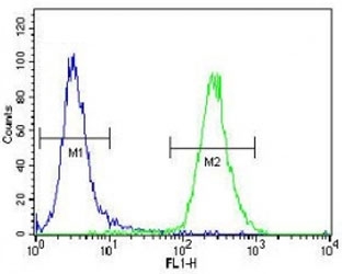 SOD2 antibody flow cytometric analysis of NCI-H460 cells (green) compared to a <a href=../search_result.php?search_txt=n1001>negative control