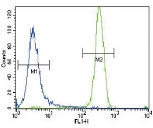 CSF1R antibody flow cytometric analysis of NCI-H460 cells (right histogram) compared to a negative control (left histogram). FITC-conjugated goat-anti-rabbit secondary Ab was used for the analysis.
