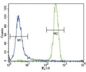 CSF1R antibody flow cytometric analysis of NCI-H460 cells (right histogram) compared to a negative control (left histogram). FITC-conjugated goat-anti-rabbit secondary Ab was used for the analysis.