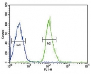 FGFR1 antibody FACS analysis of MCF-7 cells (bottom histogram) compared to a negative control (top histogram). FITC-conjugated goat-anti-rabbit secondary Ab was used for the analysis.