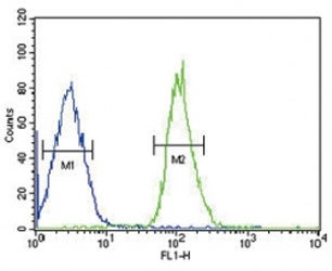 FGFR1 antibody FACS analysis of MCF-7 cells (bottom histogram) compared to a negative control (top histogram). FITC-conjugated goat-anti-rabbit secondary Ab was used for the analysis.