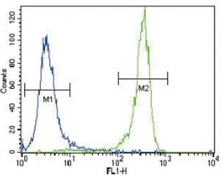 FGFR2 antibody flow cytometric analysis of NCI-H460 cells (right histogram) compared to a negative control (left histogram). FITC-conjugated goat-anti-rabbit secondary Ab was used for the analysis.