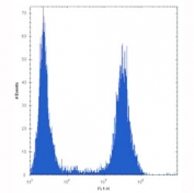 FGFR2 antibody flow cytometric analysis of U251 cells (right histogram) compared to a negative control (left histogram). FITC-conjugated goat-anti-rabbit secondary Ab was used for the analysis.