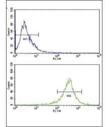 Flow cytometric analysis of WiDr cells using FGFR4 antibody (bottom histogram) compared to a negative control (top histogram). FITC-conjugated goat-anti-rabbit secondary Ab was used for the analysis.