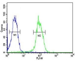 KDR antibody flow cytometric analysis of MDA-MB435 cells (green) compared to a <a href=../search_result.php?search_txt=n1001>nega