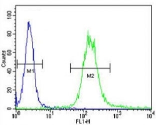 IGF1R antibody flow cytometric analysis of WiDr cells (green) compared to a <a href=../search_result.php?search_txt=n1001>negative control</a> (blue). FITC-conjugated goat-anti-rabbit secondary Ab was used for the analysis.