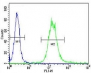 IGF1R antibody flow cytometric analysis of WiDr cells (green) compared to a <a href=