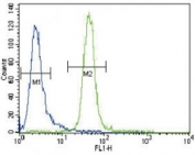 MUSK antibody flow cytometric analysis of CEM cells (right histogram) compared to a negative control cell (left histogram). FITC-conjugated goat-anti-rabbit secondary Ab was used for the analysis.