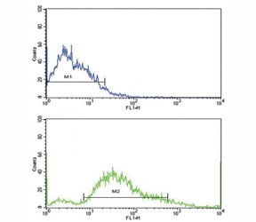 Flow cytometric analysis of SK-Br-3 cells using PDGFR beta antibody (bottom histogram) compared to a?<a href=../search_result.php?search_txt=n1001>negative control</a>?(top histogram). FITC-conjugated goat-anti-rabbit secondary Ab was used for the analysis.