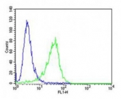 Flow cytometric analysis of A549 cells using ROR1 antibody (green) compared to an isotype control of rabbit IgG (blue). Ab was diluted at 1:25 dilution. An Alexa Fluor 488 goat anti-rabbit lgG was used as the secondary Ab.