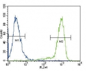 TrkA antibody flow cytometric analysis of fixed and permeabilized HeLa cells (green) compared to a negative control (blue). FITC-conjugated goat-anti-rabbit secondary Ab was used for the analysis.