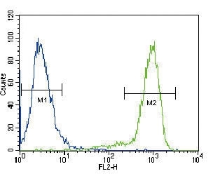 TrkA antibody flow cytometric analysis of HeLa cells (green) compared to a <a href=../search