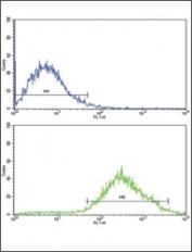 Flow cytometric analysis of Jurkat cells using DDR2 antibody (bottom histogram) compared to a <a href=../search_result.php?search_txt=n1001>negative control</a> (top histogram). FITC-conjugated goat-anti-rabbit secondary Ab was used for the analysis.