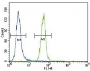 FYN antibody flow cytometric analysis of HeLa cells (right histogram) compared to a <a href=../search_result.php?search_txt=n1001>negative control</a> (left histogram). FITC-conjugated goat-anti-rabbit secondary Ab was used for the analysis.