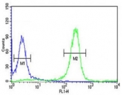 FYN antibody flow cytometric analysis of HeLa cells (right histogram) compared to a negative control (left histogram). FITC-conjugated goat-anti-rabbit secondary Ab was used for the analysis.