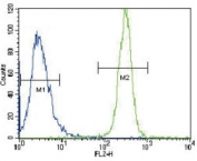 LYN antibody flow cytometric analysis of HeLa cells (green) compared to a negative control (blue). FITC-conjugated goat-anti-rabbit secondary Ab was used for the analysis.
