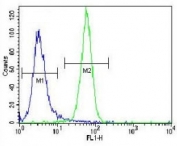NRAS antibody flow cytometric analysis of NCI-H460 cells (green) compared to a negative control (blue). FITC-conjugated goat-anti-rabbit secondary Ab was used for the analysis.