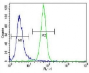 NRAS antibody flow cytometric analysis of NCI-H460 cells (green) compared to a <a href=../search_result.php?search_txt=n1001>negative control</a> (blue). FITC-conjugated goat-anti-rabbit secondary Ab was used for the analysis.