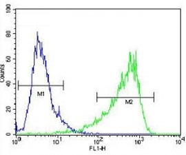 HIF1A antibody flow cytometric analysis of NIH3T3 cells (right histogram) compared to a negative control cell (left histogram). FITC-conjugated goat-anti-rabbit secondary Ab was used for the analysis.