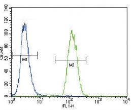 Urokinase antibody flow cytometric analysis of A2058 cells (green) compared to a <a href=../search_result.php?search_txt=n1001>negative control</a> (blue). FITC-conjugated goat-anti-rabbit secondary Ab was used for the analysis.