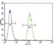 Urokinase antibody flow cytometric analysis of A2058 cells (green) compared to a <a href=