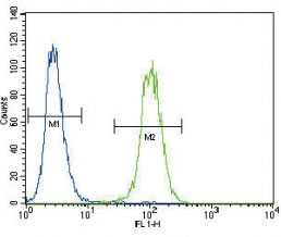 UPA antibody flow cytometric analysis of A2058 cells (green) compared to a <a href=../search_result.php?search_txt=n1001>negative control</a> (blue). FITC-conjugated goat-anti-rabbit secondary Ab was used for the analysis.