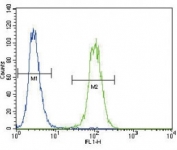 UPA antibody flow cytometric analysis of A2058 cells (green) compared to a <a href=