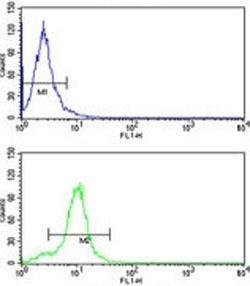 CYP2E1 antibody flow cytometry analysis of HepG2 cells (green) compared to a <a href=../search_result.php?search_txt=n1001>negative control</a> (blue). FITC-conjugated goat-anti-rabbit secondary Ab was used for the analysis.
