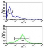 SOD1 antibody flow cytometric analysis of Jurkat cells (green) compared to a negative control (blue). FITC-conjugated goat-anti-rabbit secondary Ab was used for the analysis.