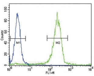 SOCS1 antibody flow cytometric analysis of WiDr cells (green) compared to a <a href=../search_result.php?search_txt=n1001>negative control</a> (blue). FITC-conjugated goat-anti-rabbit secondary Ab was used for the analysis.