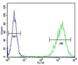 TAZ antibody flow cytometric analysis of MDA-MB231 cells (green) compared to a <a href=../search_result.php?search_txt=n1001>negative control</a> (blue). FITC-conjugated goat-anti-rabbit secondary Ab was used for the analysis.