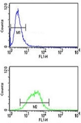 MAG antibody flow cytometry analysis of NCI-H460 cells (bottom histogram) compared to negative control cells (top histogram). FITC-conjugated goat-anti-rabbit secondary Ab was used