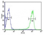 RANKL antibody flow cytometric analysis of HL-60 cells (right histogram) compared to a negative control (left histogram). FITC-conjugated goat-anti-rabbit secondary Ab was used for the analysis.