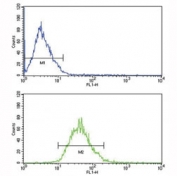 LDLR antibody flow analysis of MCF-7 cells (bottom histogram) compared to a negative control (top histogram). FITC-conjugated goat-anti-rabbit secondary Ab was used for the analysis.
