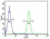 ARG1 antibody flow cytometric analysis of MDA-MB231 cells (green) compared to a <a href=../search_result.php?search_txt=n1001>negative control</a> (blue). FITC-conjugated goat-anti-rabbit secondary Ab was used for the analysis.