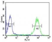 DLK2 antibody flow cytometric analysis of HL-60 cells (green) compared to a <a href=../search_result.php?search_txt=n1001>negative control</a> (blue). FITC-conjugated goat-anti-rabbit secondary Ab was used for the analysis.