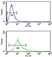 S100A10 antibody flow cytometry analysis of NCI-H460 cells (green) compared to a <a href=../search_result.php?search_txt=n1001>negative control</a> (blue). FITC-conjugated goat-anti-rabbit secondary Ab was used for the analysis.