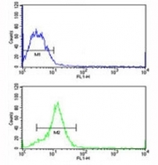 HMGA1 antibody flow cytometric analysis of MCF-7 cells (green) compared to a negative control (blue). FITC-conjugated goat-anti-rabbit secondary Ab was used for the analysis.