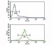 IL-10 antibody flow cytometry analysis of Jurkat cells (bottom histogram) compared to a negative control (top histogram). FITC-conjugated goat-anti-rabbit secondary Ab was used for the analysis.