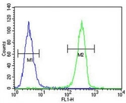 HOXA9 antibody flow cytometric analysis of A375 cells (green) compared to a <a href=../search_result.php?search_txt=n1001>negative control</